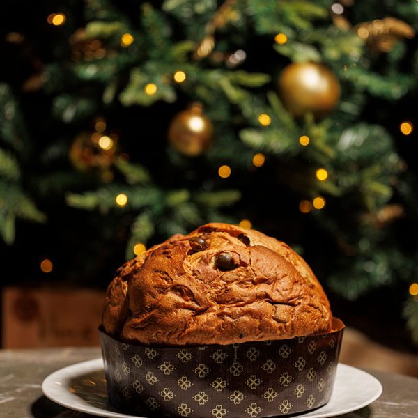 Panettone con olive, cioccolato fondente e olio EVO