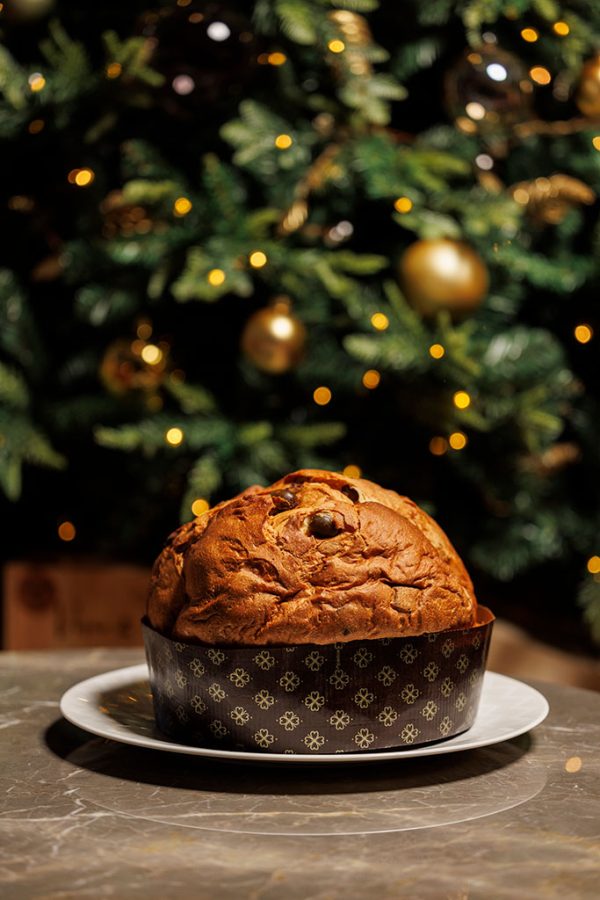 Panettone con olive, cioccolato fondente e olio EVO